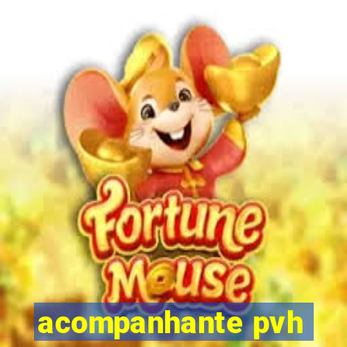 acompanhante pvh